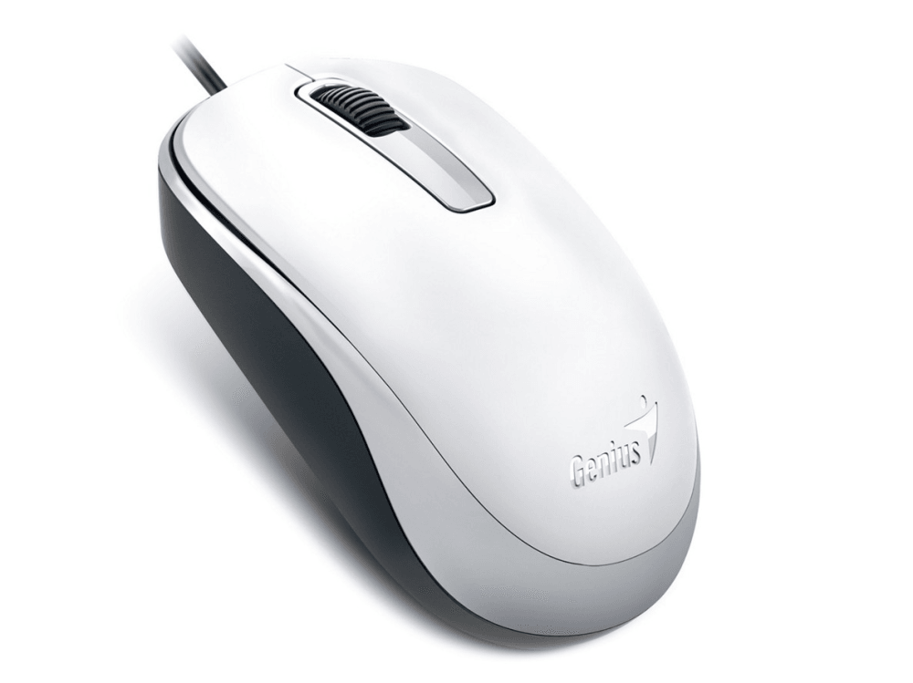 Мышь Genius DX-125 White, оптическая, проводная, 1200 dpi, USB, цвет белый