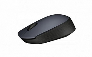 Мышь LOGITECH Wireless Mouse M170 