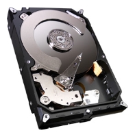 Жесткий диск,1000 GB,7200,Seagate,Serial-ATA-III,64MB Cache, ST1000DM003