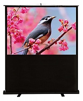 Экран Cactus 6754 CS-PSFLCE-120X90 