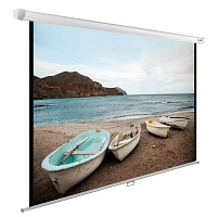 Экран Cactus 6754 CS-PSWE-220X138-WT 