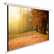 Экран Cactus WallExpert CS-PSWE-200X125-WT 