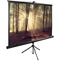 Экран Cactus 6754 CS-PSTE-180Х135-BK 