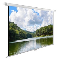 Экран Cactus 6754 CS-PSWE-240X150-WT 