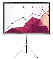 Экран Cactus 6754 CS-PST-180X180 