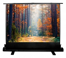 Экран Cactus FloorExpert CS-PSFLE-180X135 