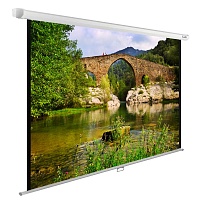 Экран Cactus 6754 CS-PSWE-220X165-WT 