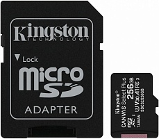 Карта памяти KINGSTON 6650 SDCS2/256GB 
