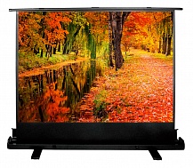 Экран Cactus FloorExpert CS-PSFLE-200X150 