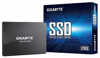 Жесткий диск GIGABYTE 6613 GP-GSTFS31120GNTD         
