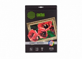 Холст Cactus  CS-СA426010 