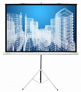 Экран Cactus Triscreen CS-PST-104X186 