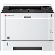 Принтер KYOCERA-MITA Ecosys P2040dn, A4,  Лазерный,  Черно-белый 