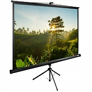 Экран Cactus TriExpert CS-PSTE-200Х200-BK 