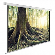 Экран Cactus WallExpert CS-PSWE-220X220-WT 