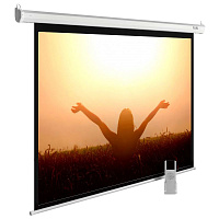 Экран Cactus 6754 CS-PSME-220X165-WT 