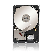 Жесткий диск SEAGATE 6607 ST1000NM0033 